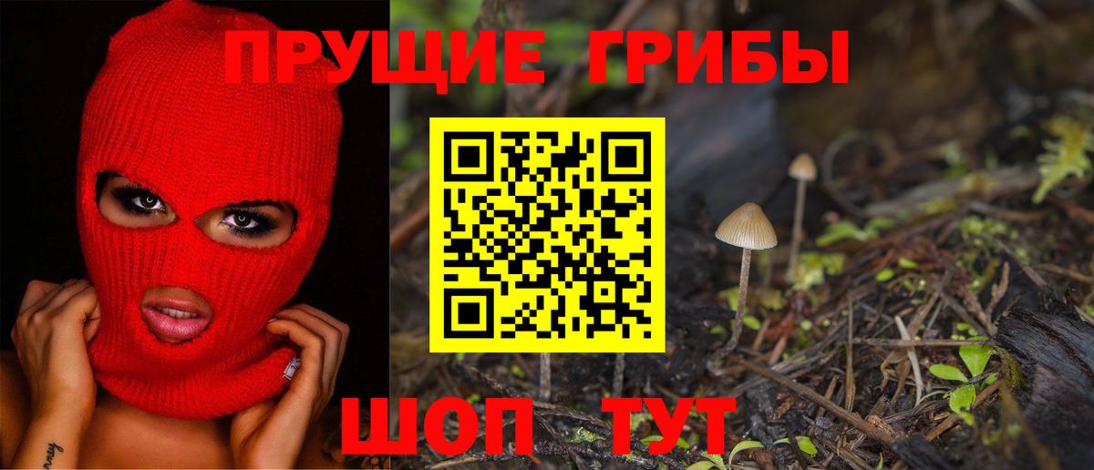 Псилоцибиновые грибы прущие грибы Мытищи
